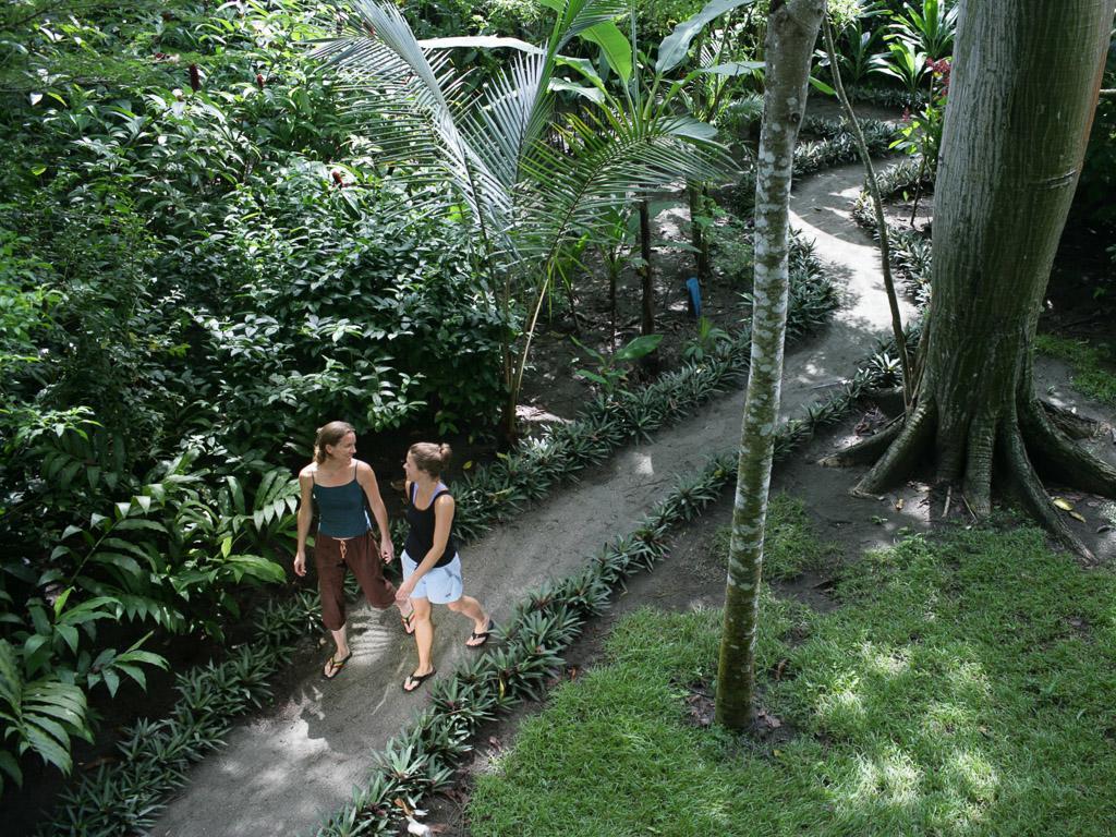 Iguana Lodge Beach Resort Puerto Jiménez Exterior foto